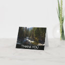 Search for sequoia cards Forest