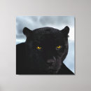 Search for jaguar canvas prints Animals