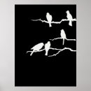 Search for bird silhouettes posters Avian
