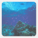 Search for great barrier reef stickers Coral