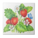 Recherche de fraises rouges carreaux Baie