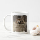 Search for baby hedgehog mugs Young animal