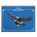 Search for survived office supplies Nature