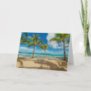 Search for coconut tree cards Tropical beach