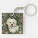 Recherche de coton tulear accessoires Chien