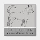 Recherche de compagnon animaux Chiot
