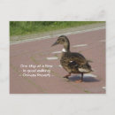 Recherche de spiritualité cartes postales Animal