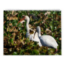 Search for tortoise calendars Animals