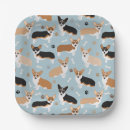 Search for dog plates Corgi