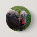 Recherche de dinde badges Végétalien