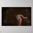 Search for neuron posters Axon
