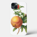 Search for pomegranates iphone cases Retro