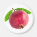 Search for pomegranate magnets Juice