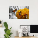 Recherche de pollen posters Pollinisation