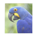 Search for ecosystem cards invites Wildlife