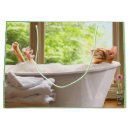 Search for adult humor gift bags Avanti press