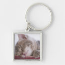 Search for kitten sleeping keychains Animal head