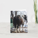 Search for draft horse Birthday