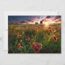 Search for nature landscapes cards Sunrise