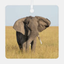 Recherche de éléphants ornements Safari