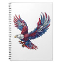 Search for concepts notebooks Blue