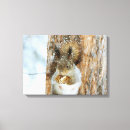 Search for squirrel canvas prints Rodent