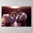 Search for two heart posters Animals