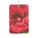 Recherche de thé hybride Jardinage