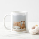 Search for corgi puppy mugs Pembroke welsh corgi