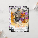 Search for pattern owl invitations Cute