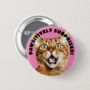 Recherche de chat jaune badges Drôle