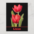 Recherche de lisse cartes postales Hollande