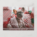 Search for from the dog christmas cards Cute