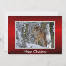 Search for wolf christmas cards Wolves