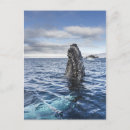 Recherche de natation cartes postales Vertical