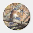 Recherche de oisseaux magnets Les oiseaux