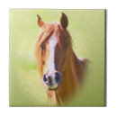 Search for horse head tiles Equestrian