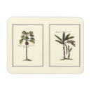 Recherche de miniature magnets Arbres