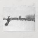 Recherche de berger moutons cartes postales Ouest