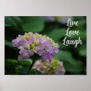 Search for white hydrangeas posters Floral