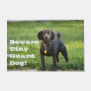 Search for poodle doormats Cute