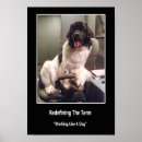Recherche de chien de terre neuve posters Newfie