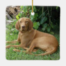 Search for hound dog ornaments Puppies