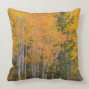 Search for aspen pillows Colour