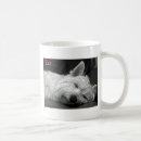 Recherche de chien westie tasses Occidental