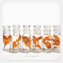 Search for shot glass stickers Horizontal