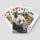 Recherche de jeu panda de jeux de cartes Animaux