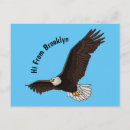 Recherche de aigle chauve cartes postales Rapace