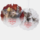 Search for two cats ornaments Meowy christmas