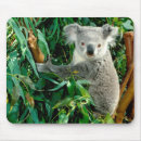 Recherche de ours mignons tapis souris Koala